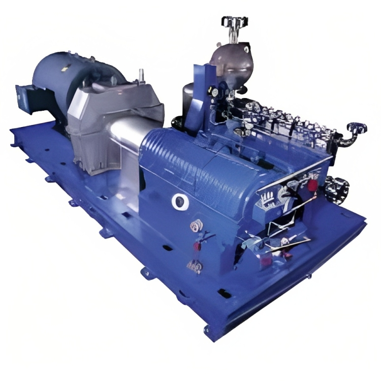 Reciprocating Pumps